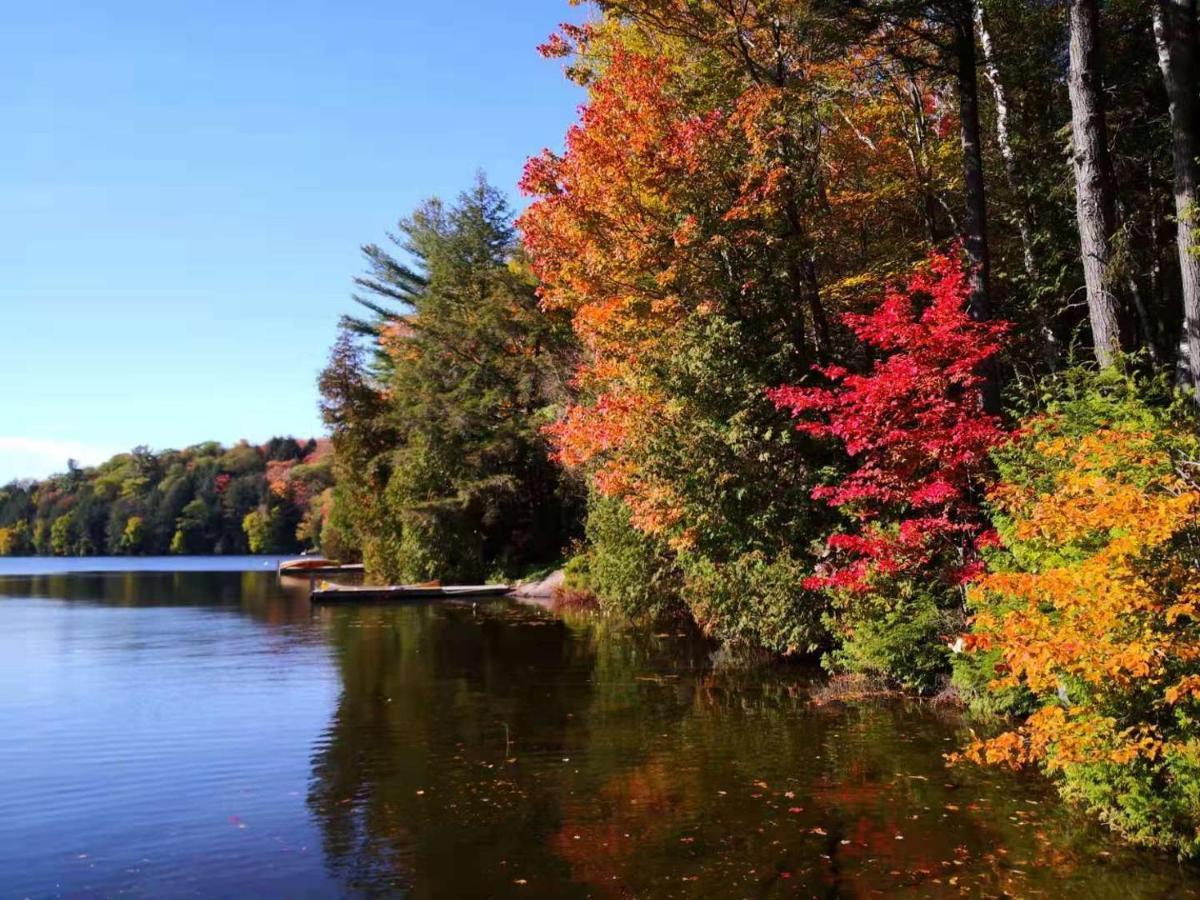 Sunny Point Resort Otter Lake 외부 사진
